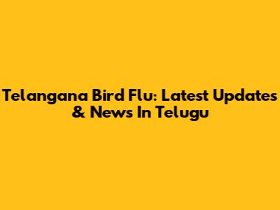 Telangana Bird Flu: Latest Updates & News In Telugu