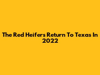 The Red Heifer's Return To Texas In 2022