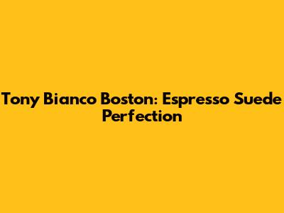 Tony Bianco Boston: Espresso Suede Perfection