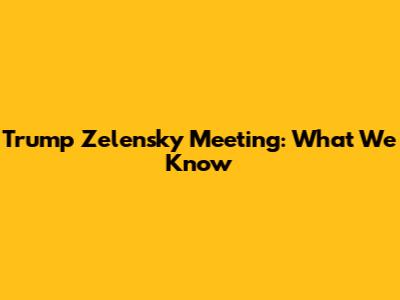 Trump Zelensky Meeting: What We Know