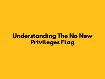 Understanding The 'No New Privileges' Flag