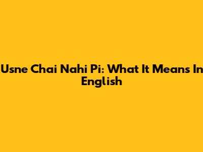 Usne Chai Nahi Pi: What It Means In English