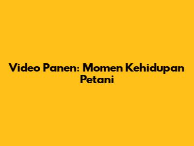 Video Panen: Momen Kehidupan Petani