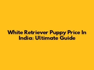 White Retriever Puppy Price In India: Ultimate Guide